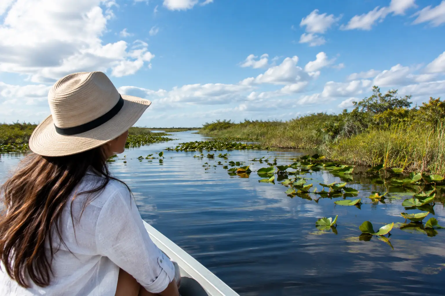 Cuándo visitar los Everglades según tu viaje